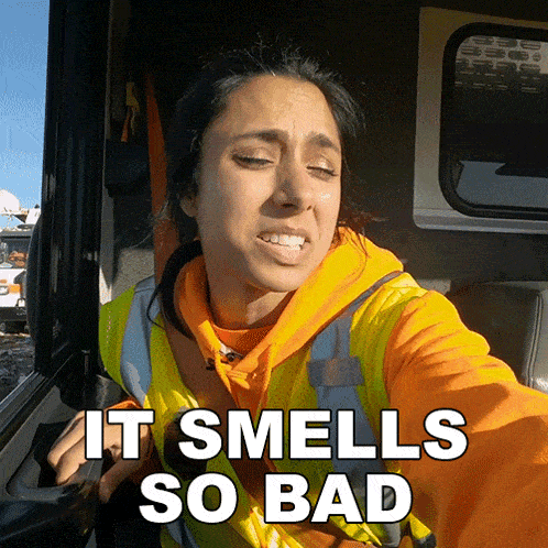 It Smells So Bad Michelle Khare GIF - It Smells So Bad Michelle Khare It Has A Terrible Odor GIFs