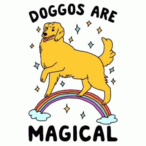 Dog Doggo GIF - Dog Doggo Magic GIFs