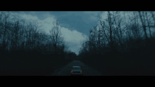 a car is driving down a dark road with trees on both sides