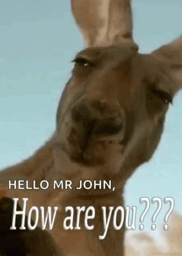 How Are You Mr John GIF - How Are You Mr John Kangaroo GIFs