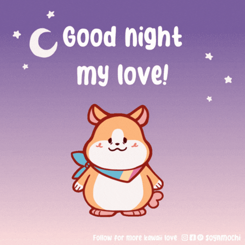 a picture of a hamster with the words good night my love
