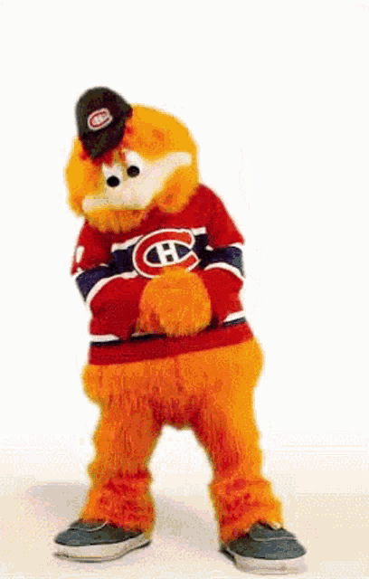 a stuffed animal wearing a canadiens jersey and a hat