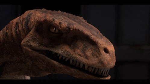 a close up of a dinosaur 's face with a dark background