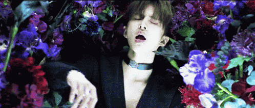 a young man is laying in a bed of flowers with his mouth open .
