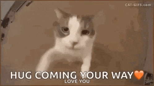 a cat is peeking out of a box with the words `` hug coming your way love you '' written on it .