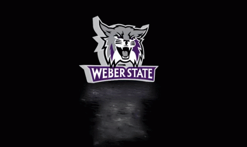 Weber State Weber GIF - Weber State Weber Wildcats GIFs