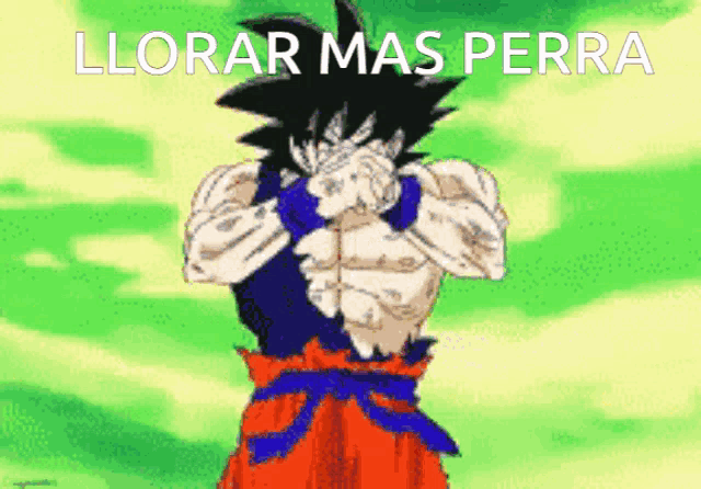 a cartoon of goku covering his face with his hands with the words llorar mas perra above him