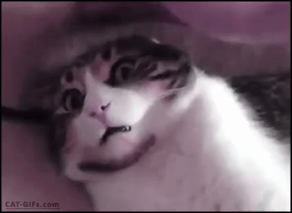 Why GIF - Dramatic What Is Happening Scared GIFs