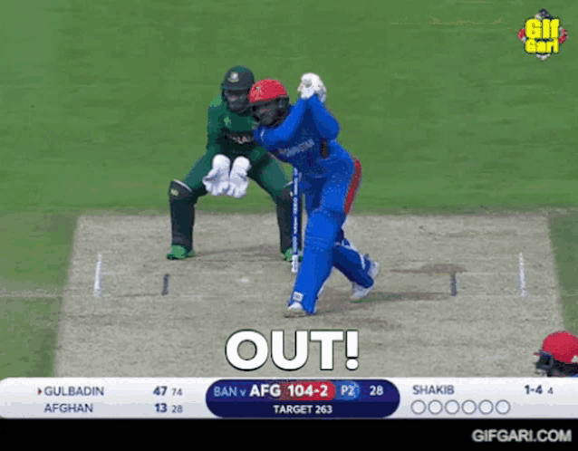 a cricket game is being played and the word out is displayed