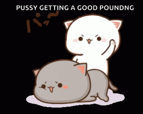 Cats Funny GIF - Cats Funny Spank GIFs