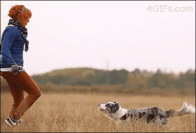 a woman playing with a dog in a field with the website 4gifs.com visible
