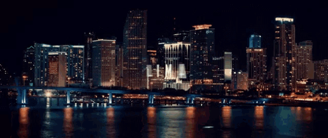 the word miami is on a city skyline