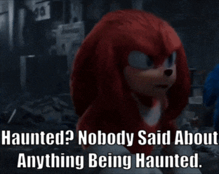knuckles the echidna from sonic the hedgehog says " haunted ? nobody said about anything being haunted "