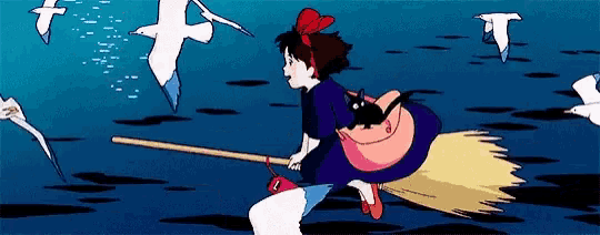 a witch is flying on a broom in the air with seagulls flying around her .