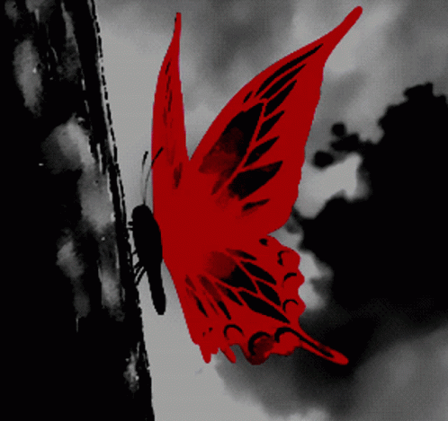 Red Butterfly GIF - Red Butterfly Dark GIFs