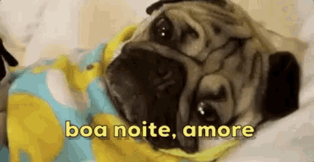 a pug dog is laying down on a bed with the words boa noite amore written on the bottom .