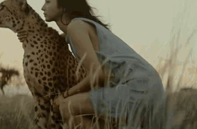 Cheetah Mitsushima Hikari GIF - Cheetah Mitsushima Hikari GIFs