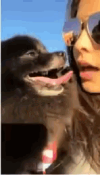 a woman wearing sunglasses looks at a dog with its tongue hanging out