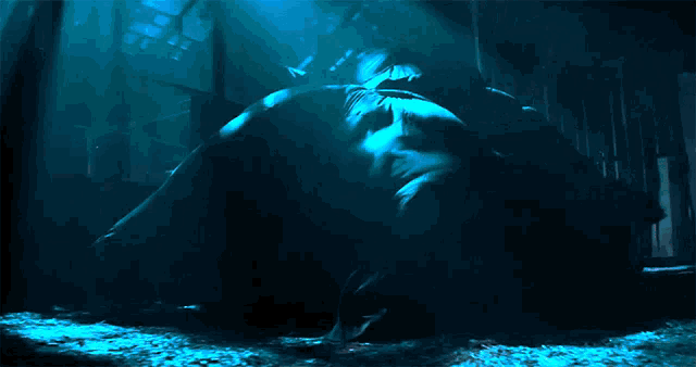 a person laying on the ground in a dark room