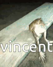 a frog is laying on a piece of wood and the word vincent is on the bottom
