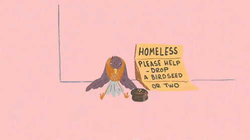 :( GIF - Homeless Homelessness GIFs