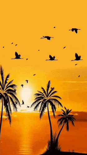 a picture of a sunset with palm trees and birds and the words good night