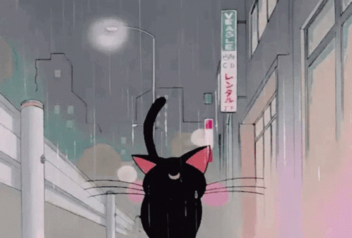 Sailor Moon Cat GIF - Sailor Moon Cat Raining GIFs