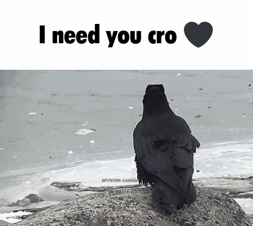 a black bird sitting on a rock with the words i need you cro