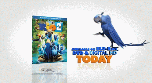 Rio2dvd Beak Out Blu GIF - Rio2dvd Beak Out Blu GIFs