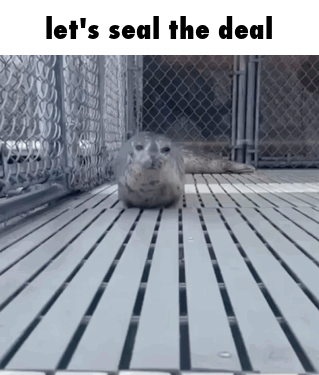 Seal Seal The Deal GIF - Seal Seal The Deal Shrimple GIFs