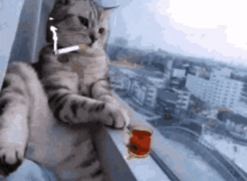a cat is smoking a cigarette and holding a cup of coffee