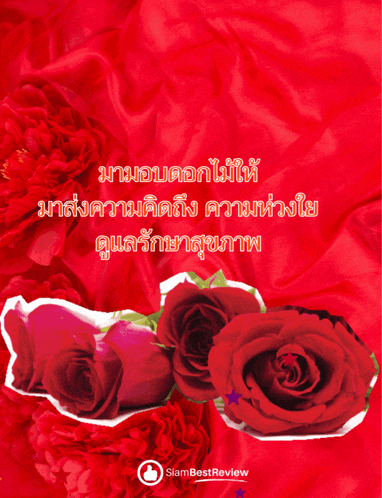 a red background with roses and the words siambest review