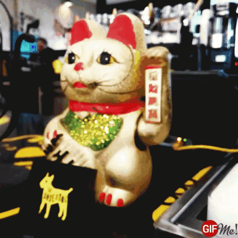 Cat Feng Sui GIF - Cat Feng Sui Welcome GIFs