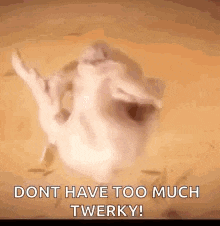 a cat is dancing in the sand with the words `` dont have too much twerking '' .
