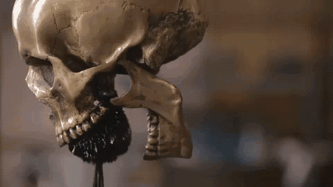 a skull with a ball in its mouth is hanging from a ceiling .