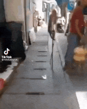 a tiktok video of people walking down a narrow sidewalk