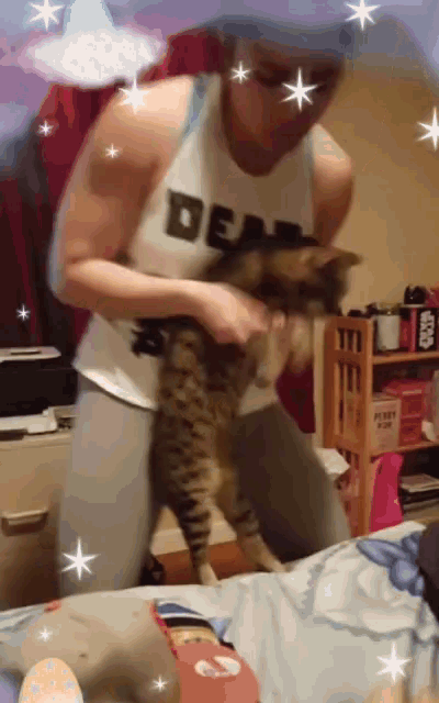 Cat Dancing GIF - Cat Dancing Lit GIFs