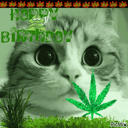 a picture of a cat with a marijuana leaf in front of it and the words happy birthday