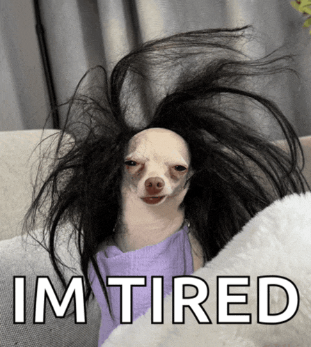 a picture of a dog with a wig on and the words im tired below it