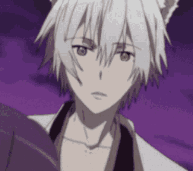 a close up of a person with white hair and a cat ear