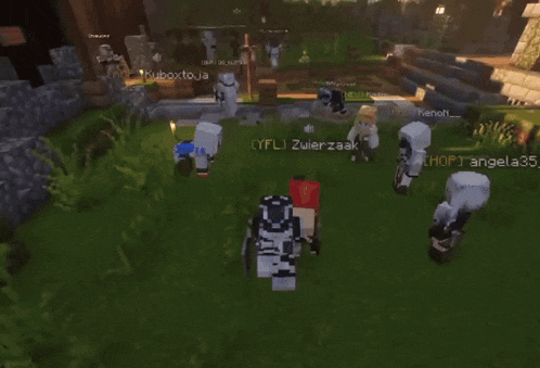 a group of minecraft characters are standing in a field