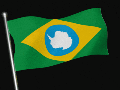 a green and yellow flag with a blue circle with antarctica in the middle