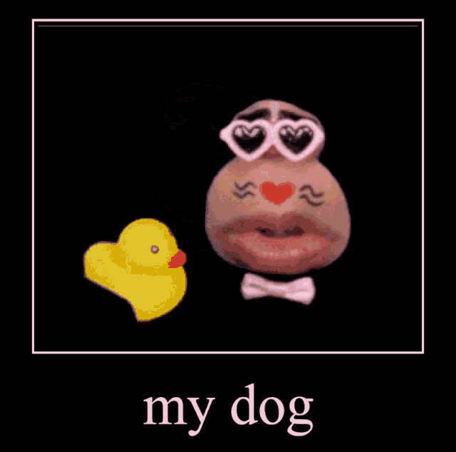 a picture of a dog wearing sunglasses and a rubber duck with the words my dog below it