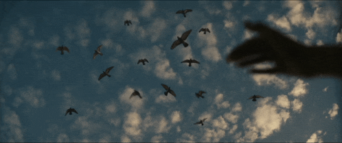 a person 's hand is reaching out towards a flock of birds in the sky