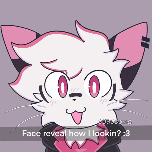 a drawing of a cat with a caption that says face reveal how i lookin 3