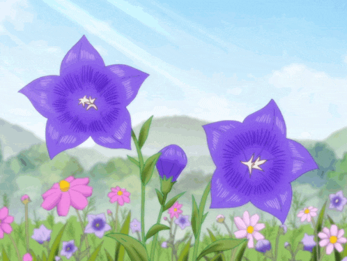 a purple flower with a yellow center is surrounded by other flowers