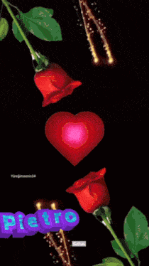 a pink heart is surrounded by red roses and the name pietro is on the bottom right