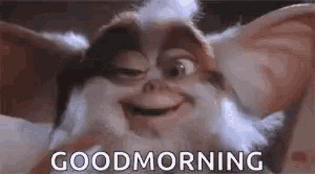 a gremlin from the movie gremlins is smiling and saying `` good morning '' .