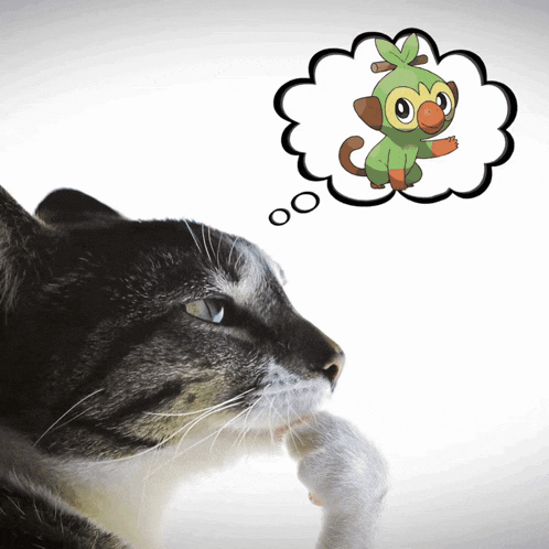 a cat with a thought bubble of a monkey