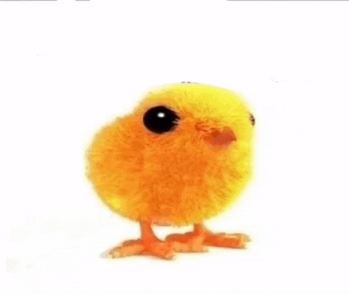 a small yellow chicken with a black eye is on a white background with a foreign language .